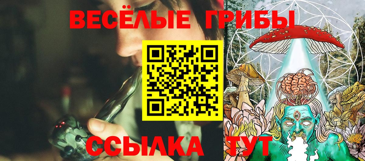 Галлюциногенные грибы Psilocybine cubensis Добрянка