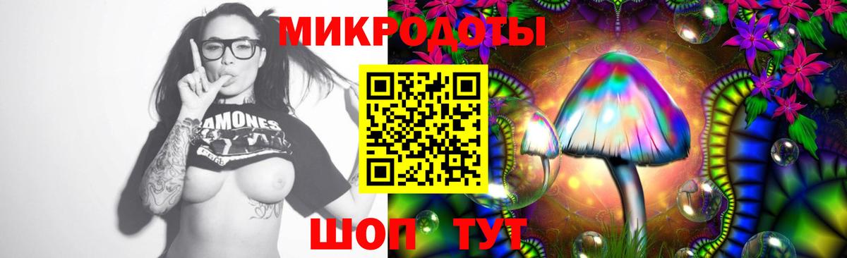 Галлюциногенные грибы GOLDEN TEACHER  Вход с VPN  Добрянка 